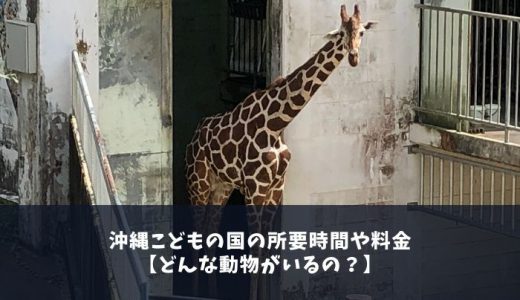 沖縄こどもの国の料金や所要時間は？ベビーカーはある？子連れでも平気？